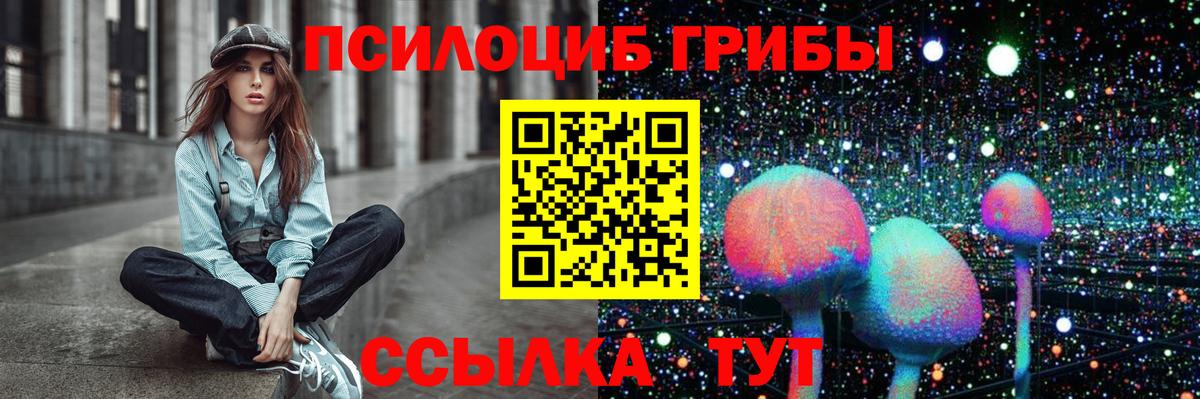 Галлюциногенные грибы Psilocybe Сосновоборск